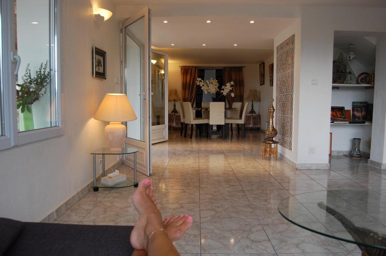 Villa Panoramique Saint-Clair-du-Rhone Extérieur photo