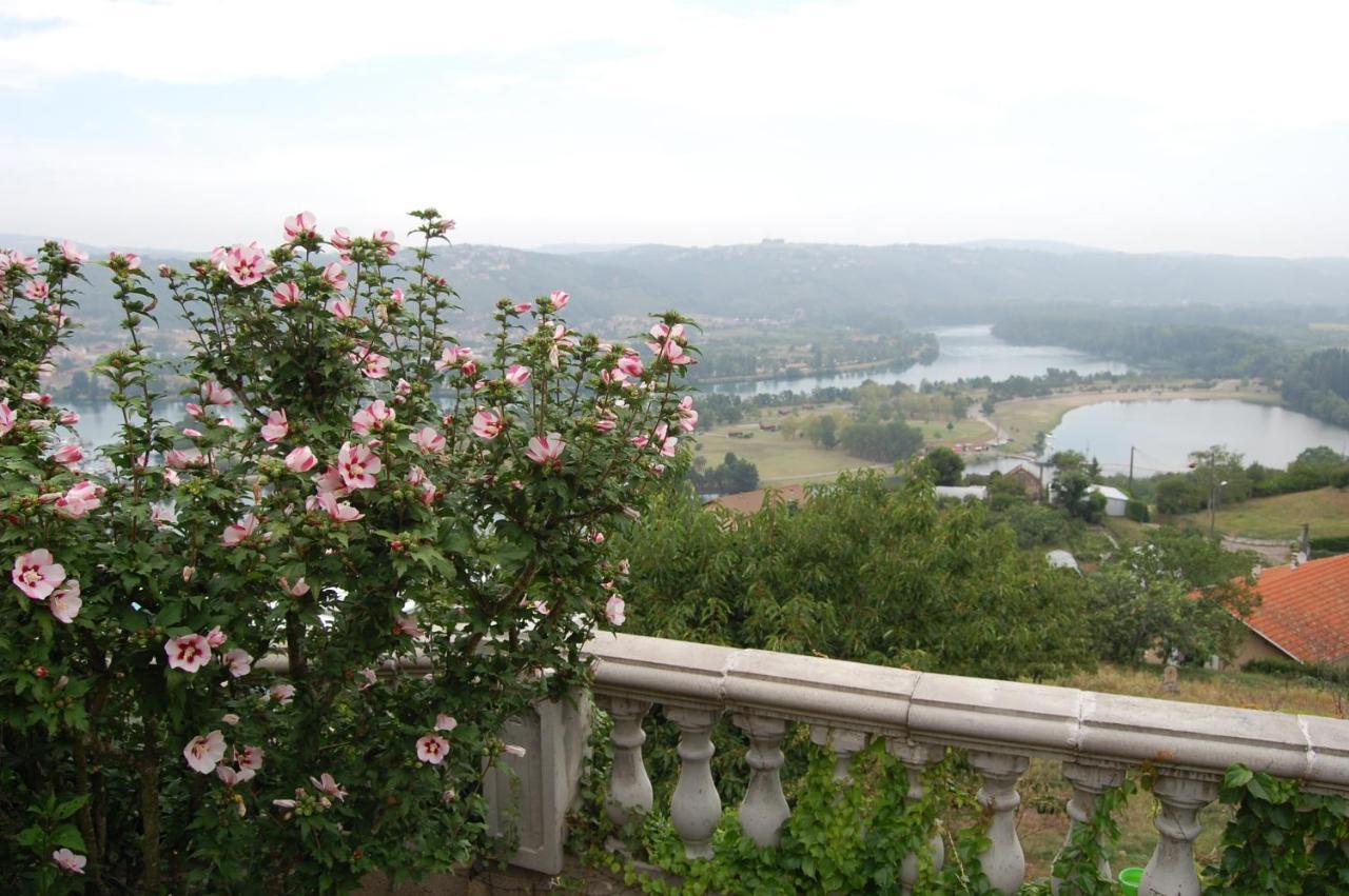 Villa Panoramique Saint-Clair-du-Rhone Extérieur photo